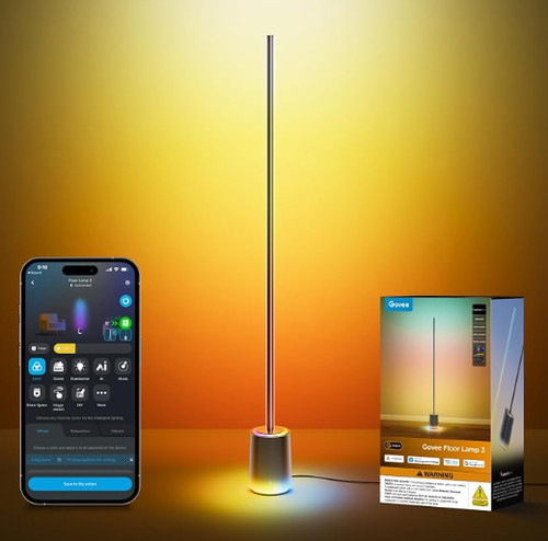 Govee Floor Lamp 3