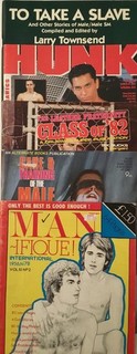 LOT of FIVE rare/scarce vintage gay ASSORTED magazines HUNK