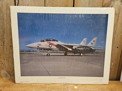 F-14 Tomcat Grumman F-14A Power Graphics Corp NOS 20 x16  Rare HTF!!!