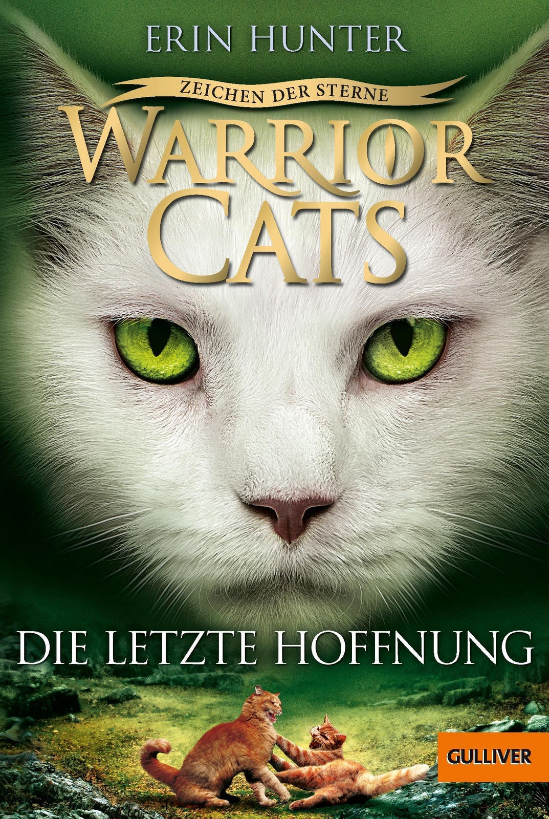 Thumbnail - Warrior Cats Staffel 4/06 - Zeichen Der Sterne. Die Letzte Hoffnung |