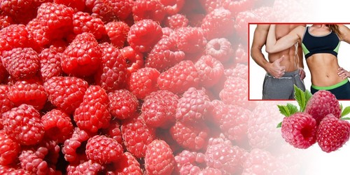 Weight loss protein powder for women - RASPBERRY KETONES – CLA COMBO-cla capsule - Picture 4 of 12