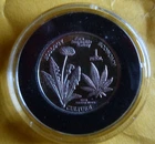 1 PETOL,  Mattole Humboldt Free State RARE Coin /  Round .999 Fine 2008
