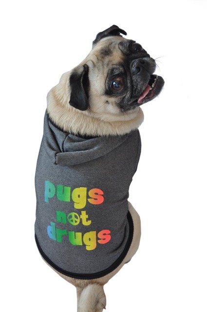 pug dog dress online
