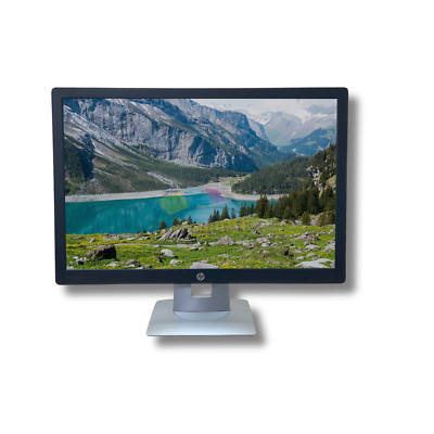 HP EliteDisplay E242 LED Monitor 24