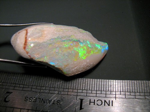 Rare Opal Shell Gem Australian Collectors Specimen 43.5 ct F80 - Picture 3 of 8