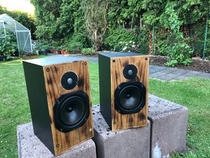 monitor audio r300
