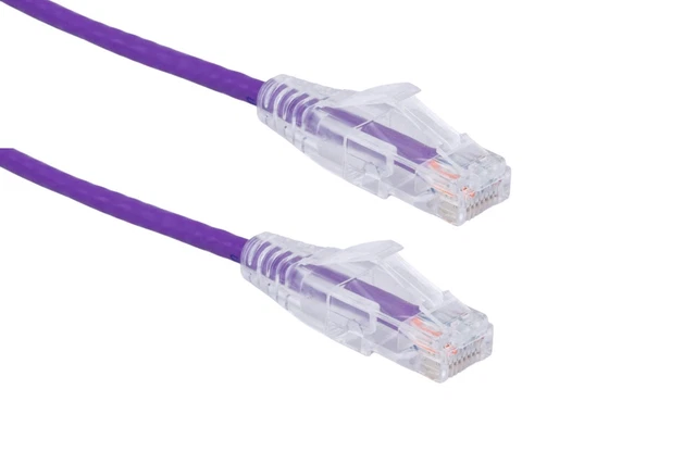 Cat6 Cable Ethernet mince, sans ardeur, 10 Ft, pourpre