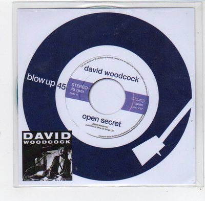 (FE432) Davids Woodcock, Open Secret - 2014 DJ CD