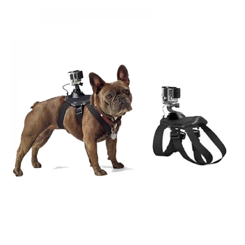 GoPro Dog Harness Mount - Adjustable Soft Pet Camera Vest for Small Medium Large Dogs