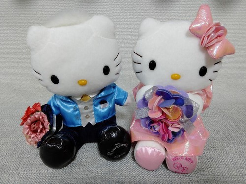 Sanrio Hello Kitty Daniel Wedding Doll Plush Toy Set Flower Dress Japan - Picture 10 of 11