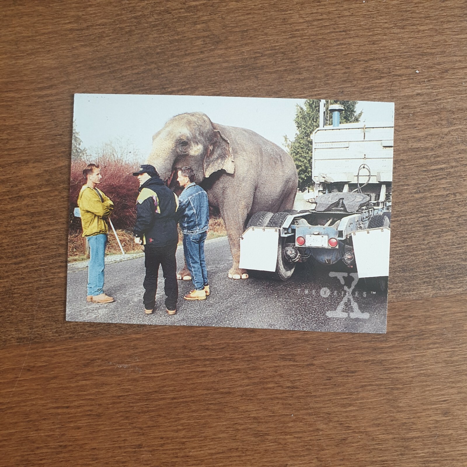 Picture 53 of 73