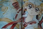 Bild 8 von 12