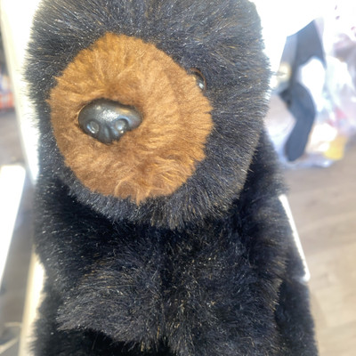Country Critters Grizzly Schwarzbär Plüsch Handpuppe fantasievolles Spiel Spielzeug 30