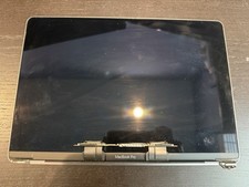 OEM Macbook Pro 13" A2159 A1989 A2289 A2251 LCD Display Assembly Gray PARTS ONLY
