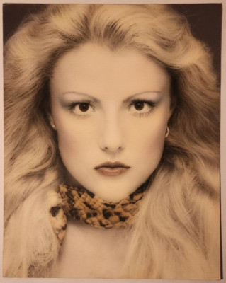c. 1979 ORIGINAL DAVID GOLDNER HAND COLORED PHOTOGRAPH #4 | eBay