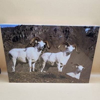 1986 Sealed Puzzle Dall's Sheep Rams 500 Pc 13x20'' Vintage Anchorage Alaska