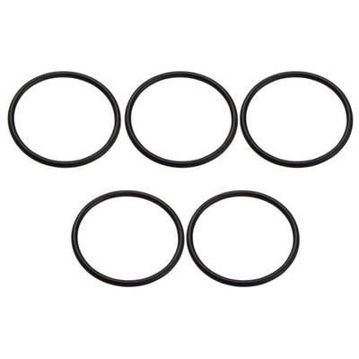 O Ring for SPS25 SPS50 SPS75 SPS100 Pumps Enhances Longevity and Performance