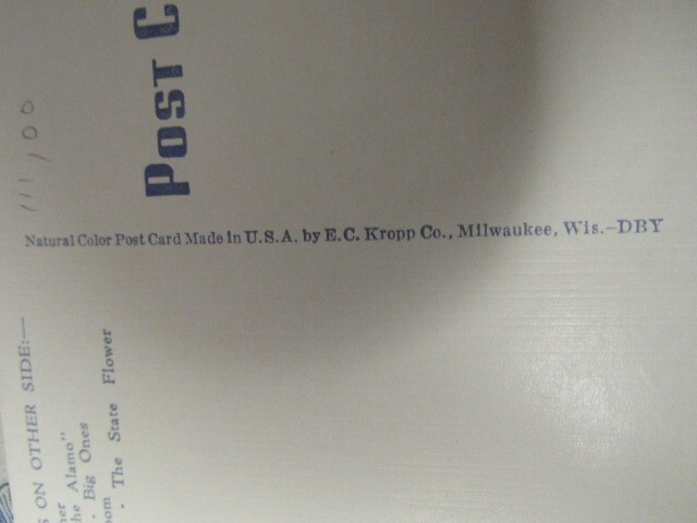Picture 5 of 6