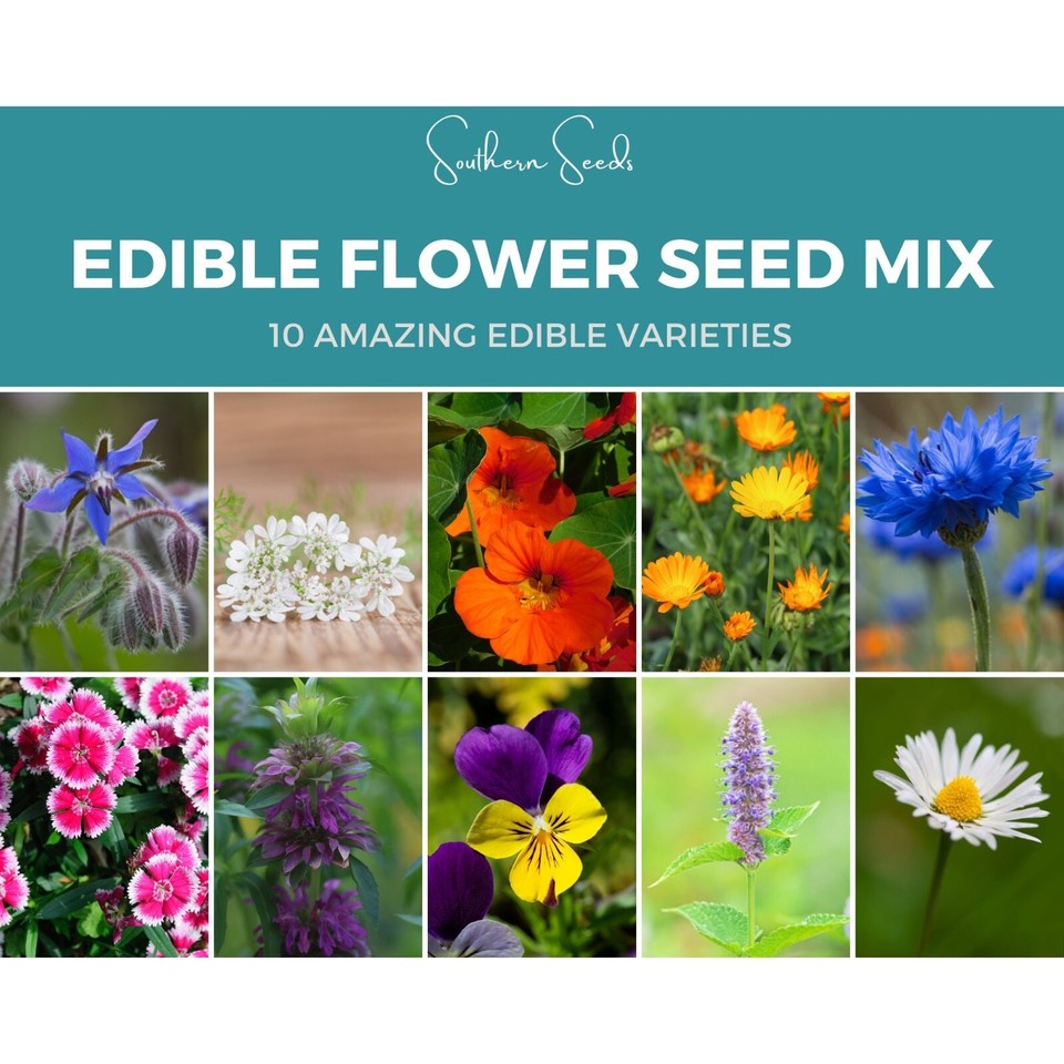 Edible Flower Seed Mix Assorted Edible Flowers Suitable for All