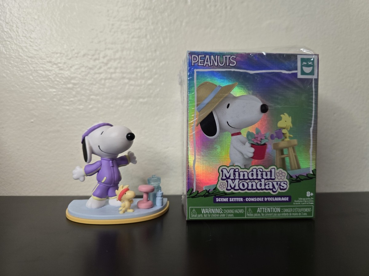 Happy Haul Mindful Mondays Peanuts Snoopy Woodstock Blind Box