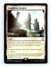 #315 2024 Fallout PIP * Windbrisk Heights Rare