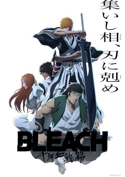 BLEACH THE BLOOD WARFARE I DVD アニメイト特典付 s-l400.jpg