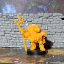 Tortle Wizard Warlock Sorcerer Druid Miniature Dungeons & Dragons DND Pathfinder