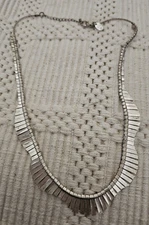 Charming Charlie's Silver Tone Fringe Necklace