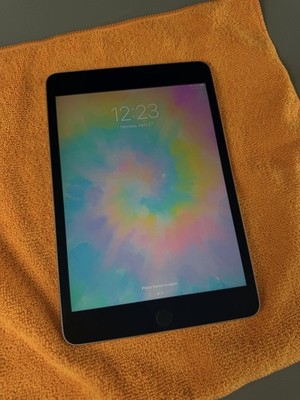 Apple iPad mini 4 A1538 128 GB, Wi-Fi, 7.9 in - Space Gray - Fair Condition