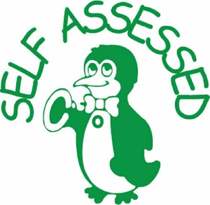 X12139 Self Assessed - Penguin Themed Self inking teacher reward xstamper stamp
