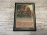 1x Primal Whisperer - Legions - NM - Italian - OOP MTG