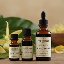 Organic Ylang Ylang Essential Oil 100 Pure Natural Free Shipping