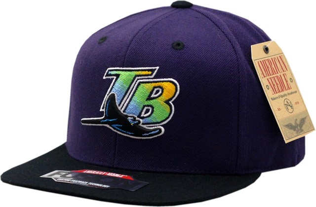 tampa bay devil rays snapback