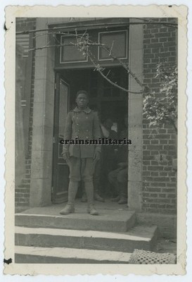 Orig. Foto Portrait franz. Kolonial Gefangene in Frankreich 1940