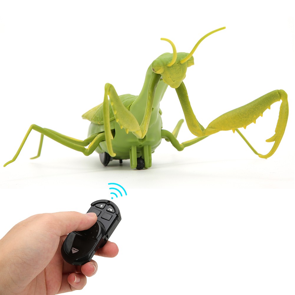 Infrared Remote Control High Simulation Insect Mantis Kid Trick Playing To KRI✈️