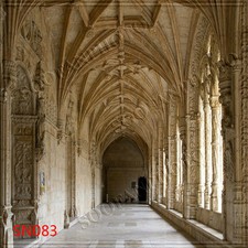 Indoor 10'x10' Computer-painted CP Scenic Photo Background Backdrop SN083B881