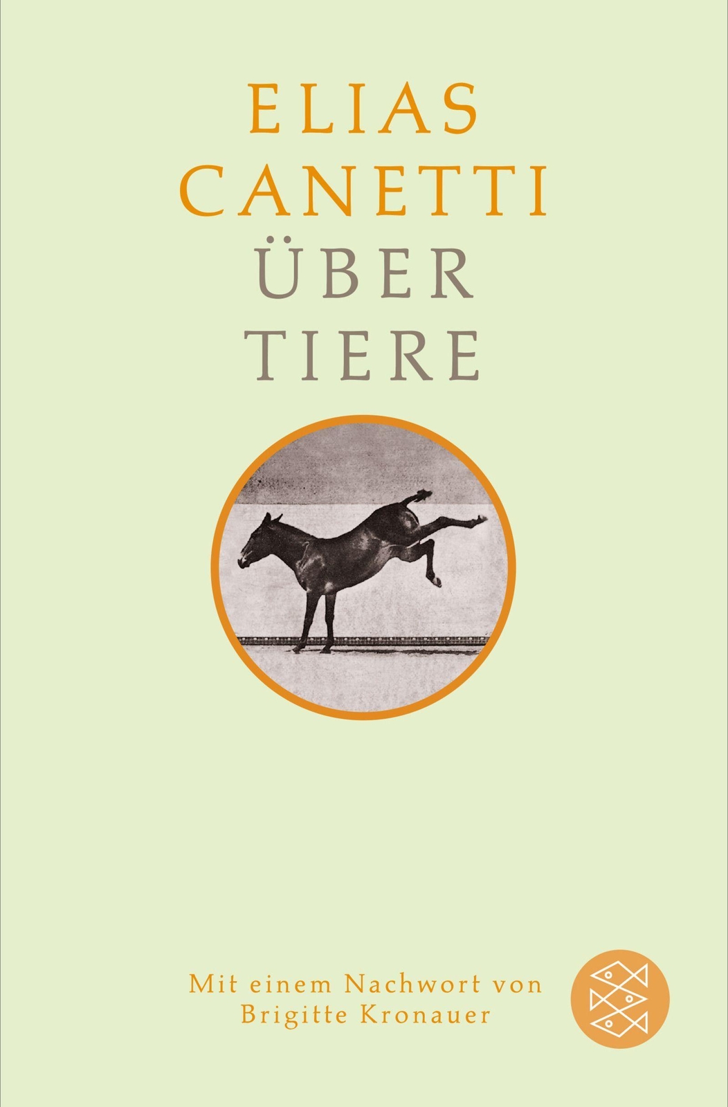 Über Tiere | Buch | 9783596296668