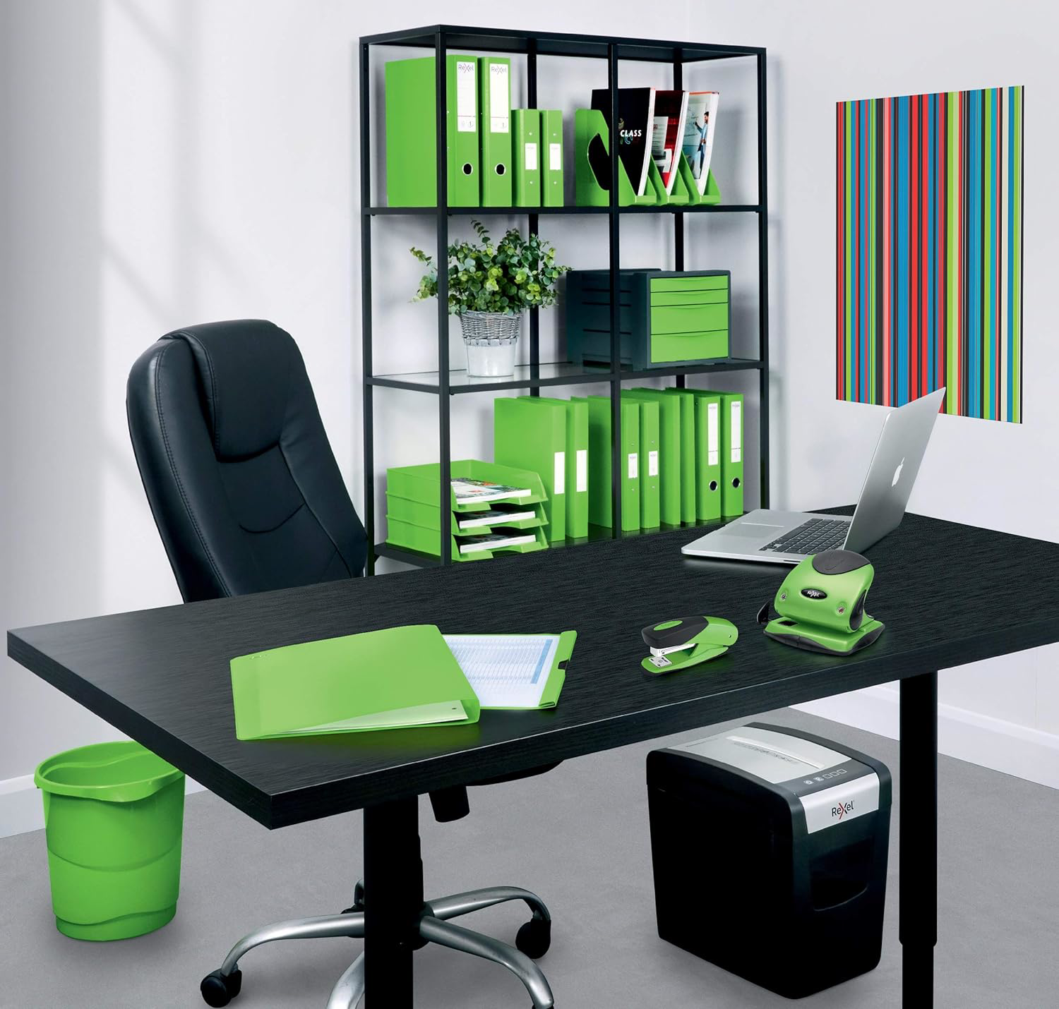 Rexel A5 Ring Binder, Green, 25 mm 2 ORing Diameter, Choices, 2115561 eBay