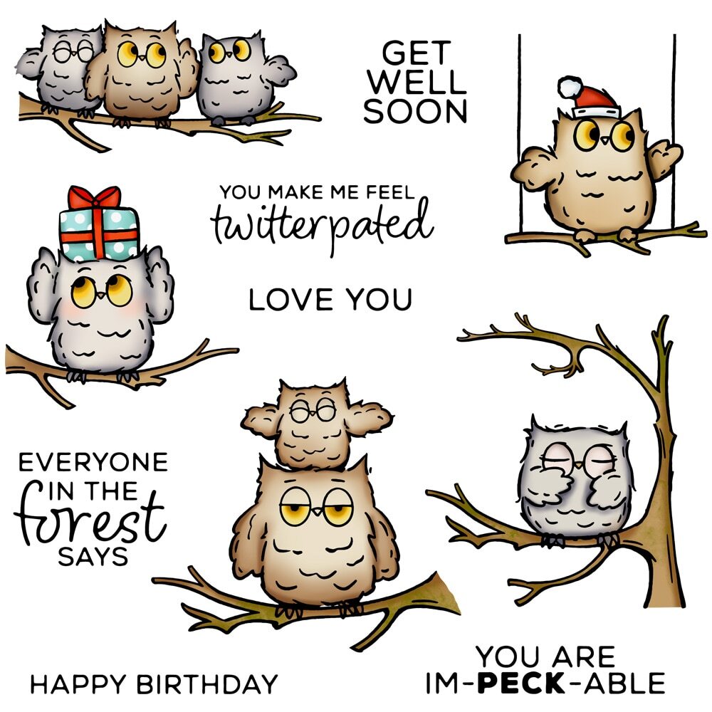 Cute Christmas Owls You Are Im-Peck-Able Clear Stamp Metal Cutting Dies Card