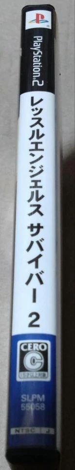 PS2  Play Station 2 Wrestle Angels 2 Survivor TRYFIRST with manual Japan F/S - Image 3 of 4