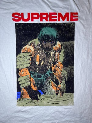 Supreme Ronin Tee Pale Green SS Graphic T-Shirt Men's Size Medium