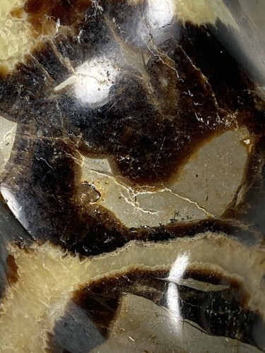 "Cristalli curativi pietra drago cristallo settario buoni per l'ansia 4,25"" - Foto 11 di 22