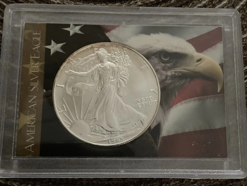 1993 American Eagle Walking Liberty One Dollar Coin 1oz. Fine Silver In Case