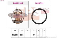 Thermostat Renault R19