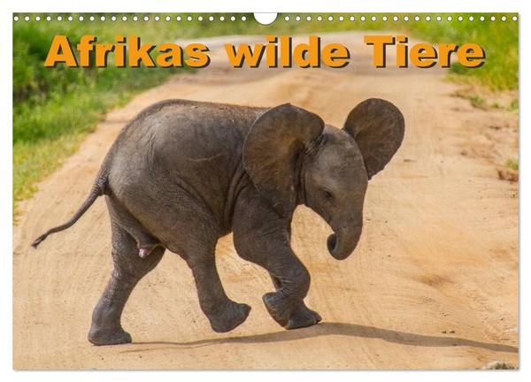 "Calendar 2027 · US Version · Africa's Wild Animals (Wall Calendar 2027 17\" × 12\""-image