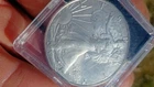 2025 American Silver Eagle ASE $1  One Troy Ounce Oz .999 Fine Bullion MS BU UNC
