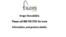 Grohe 18602000 Parts Polished Chrome Basic Dummy Shower