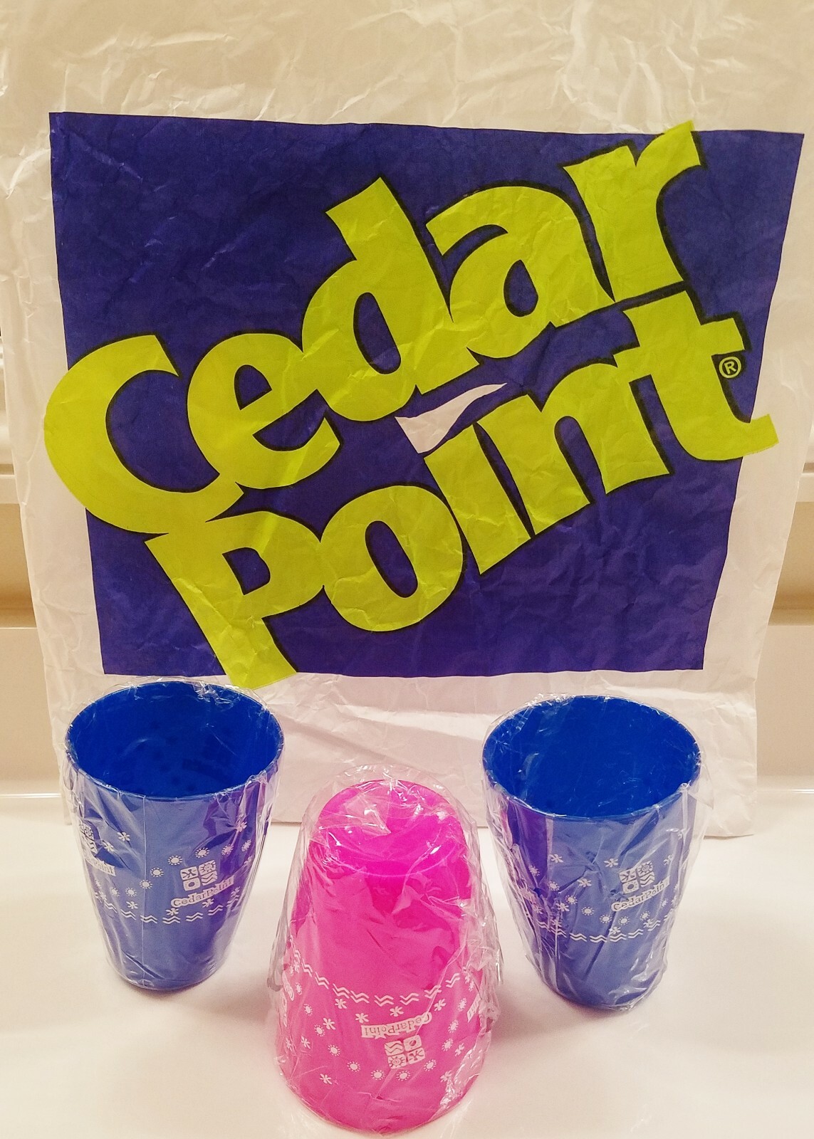3 Cedar Point 5