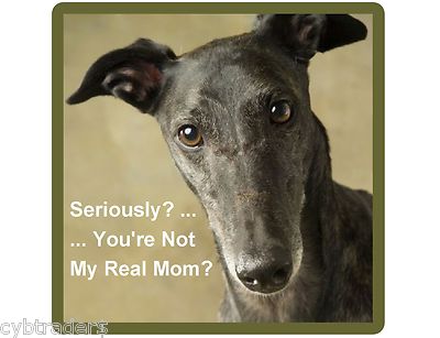 Perro Pastor Alemán I Love GSD De Imán Para Nevera