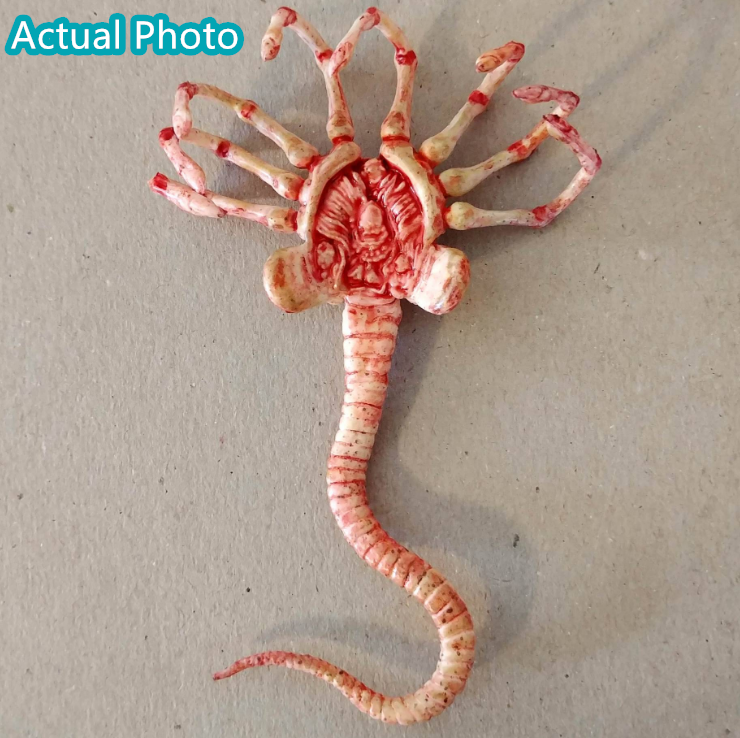 4 Inch Alien Facehugger Alien Figure - 1/6 Scale, 4 Inches, Plastic ...